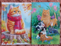 Котики из лотереи