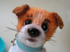 PICT0073.JPG