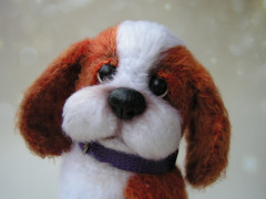 PICT0068.JPG