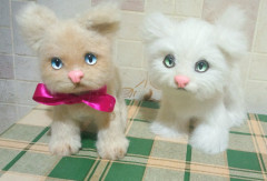 IMG_20220123_231049.jpg