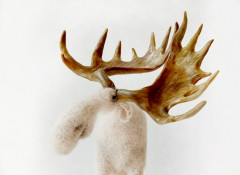 #элегантный лось