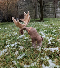 #элегантный лось