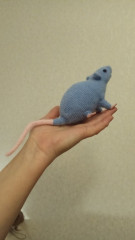 IMG-20191205-WA0010.jpeg