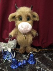 IMG_20201211_083126_1.jpg