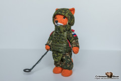 Лис сап (3).jpg