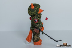 Лис сап (4).jpg