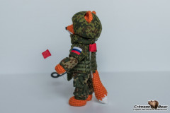 Лис сап (5).jpg