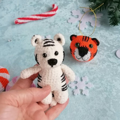 2021-12-18 14-18-02_1639826420817.JPG