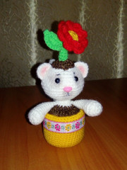 IMG_20201221_222105.jpg