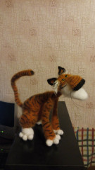 IMG-20210601-WA0006.jpeg