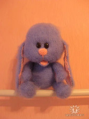 IMG_0538.jpeg