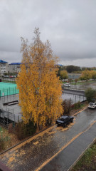 IMG_20261002_133746.jpg