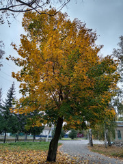 IMG_20260927_071230.jpg