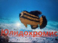 20260824_181542.jpg