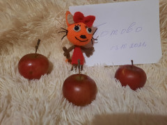 20211003_180948.jpg