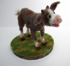final stage calf 4.jpg