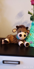 IMG_20201202_101857.jpg