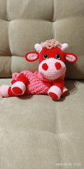 IMG_20201214_172351.jpg