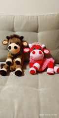 IMG_20201214_172940.jpg