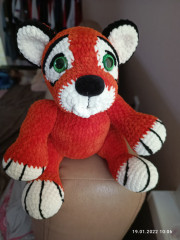 IMG_20220119_100646.jpg