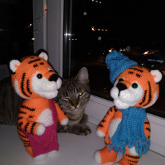 IMG_20220107_214736_927.jpg