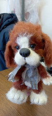 IMG_20220116_090301.jpg