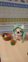 20220410_074032.jpg