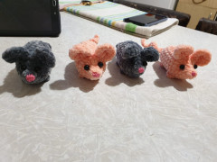 IMG-20191214-WA0084.jpg