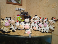 IMG_20201209_191618.jpg