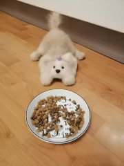 Первый блин комом