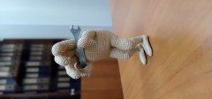 IMG_20201030_064909.jpg