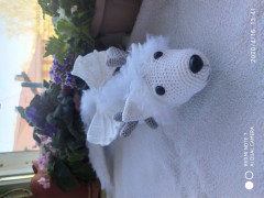 IMG_20200416_134115.jpg