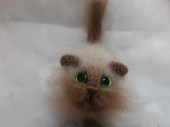 20201221_235139.jpg