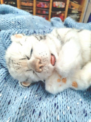 20220128_063136.jpg