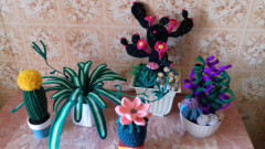 20210601_140525.jpg
