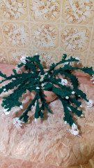 20211031_182215.jpg