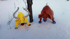 P_20201227_115528_2.jpg