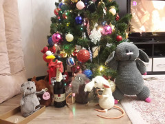20191229_210402.jpg