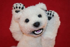 DSC08586.JPG