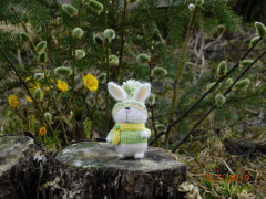 DSCN0195.JPG