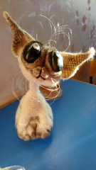 aI4RvDmRd9A.jpg (127.24 КБ) 5686 просмотров Сиамыш