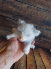 DSCN1475.JPG