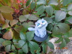 DSCN3153.JPG