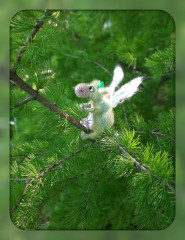 корозявка.jpg
