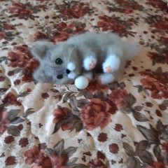 IMG_20200917_143612_139.jpg