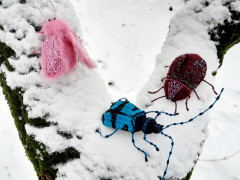 20220122_135209.jpg