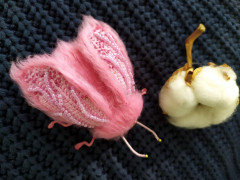 IMG_20201009_114416.jpg