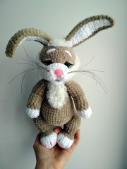 IMG_20220127_121611.jpg