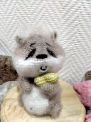 IMG20220226221642.jpg
