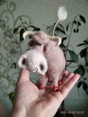 IMG_20210312_123720.jpg (190.71 КБ) 4211 просмотров Алехандро. МК Светланы Перцевой.